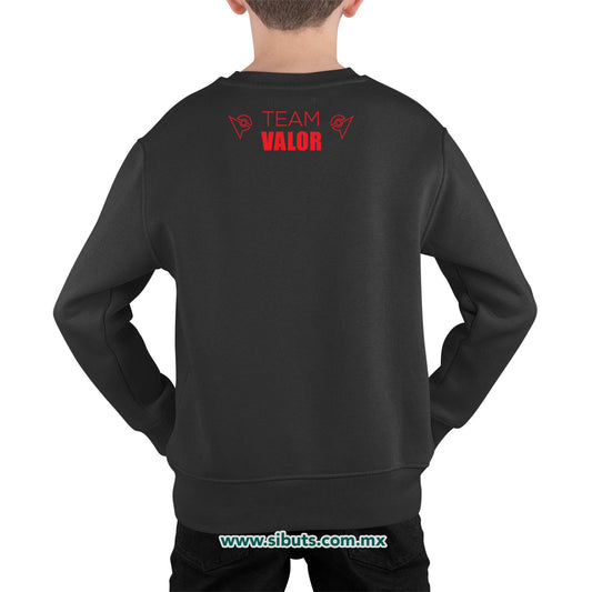 Sudadera Niño Cuello Redondo Pokemon Go Team Valor