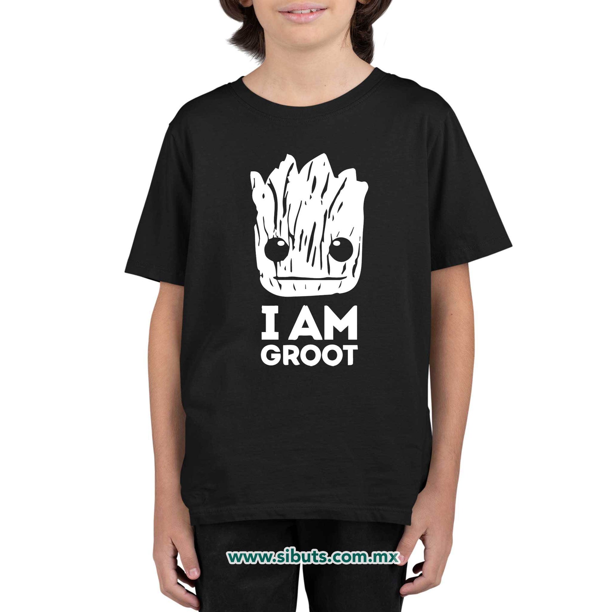 Playera Niño Guardianes De La Galaxia I Am Groot