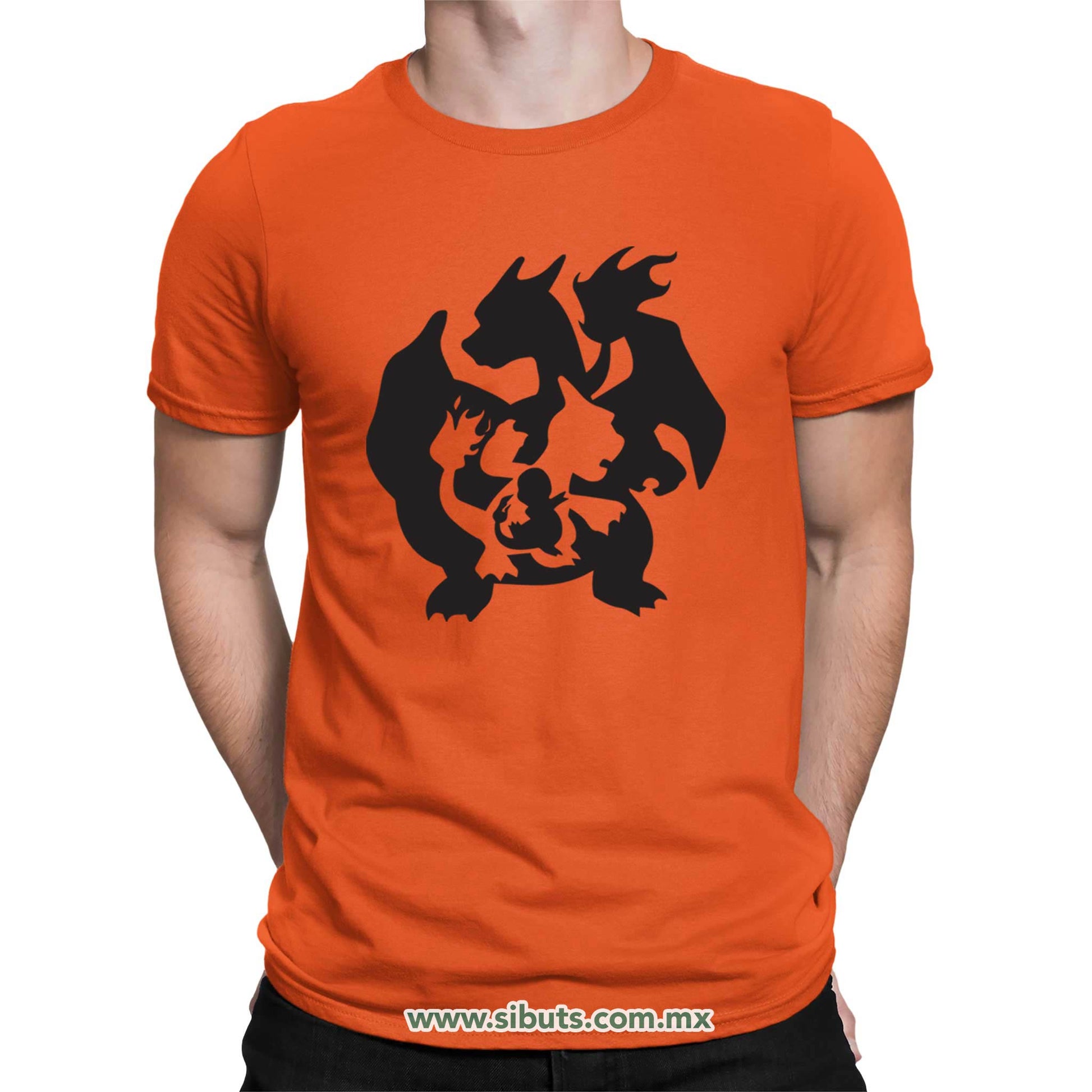 Playera Hombre Pokemon Charmander Evolutions