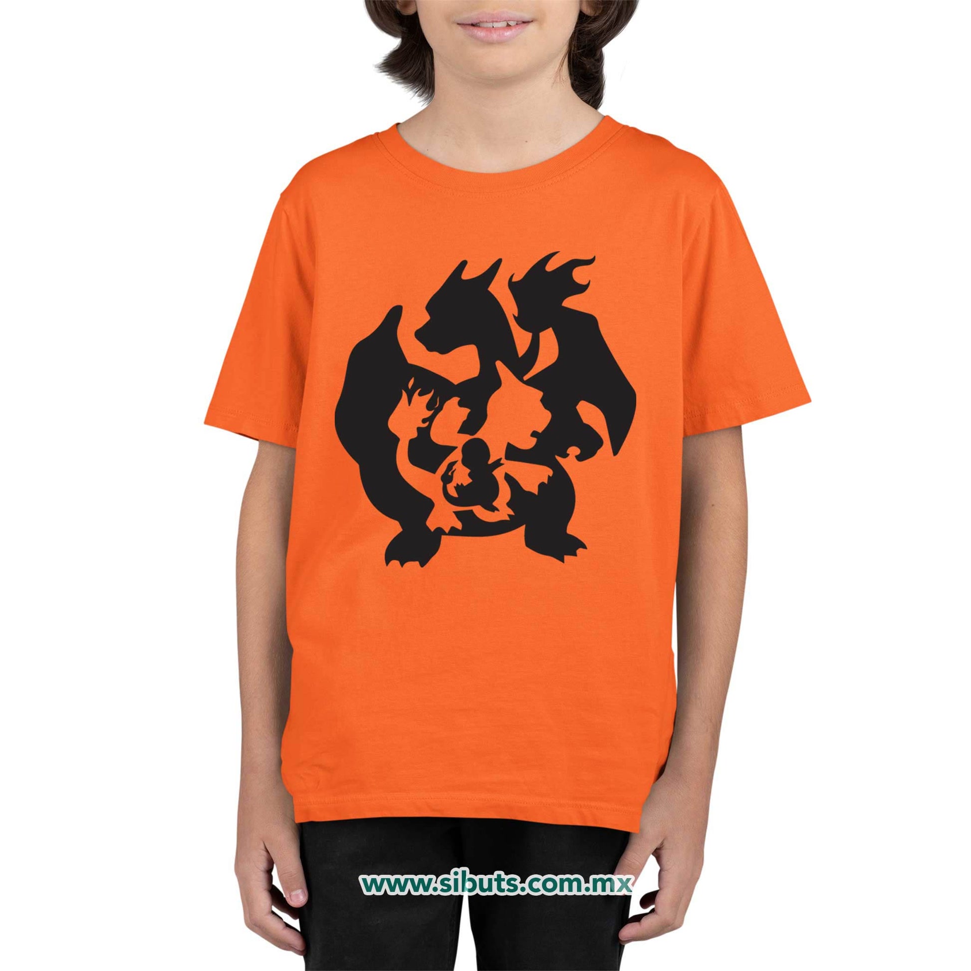 Playera Niño Pokemon Charmander Evolutions