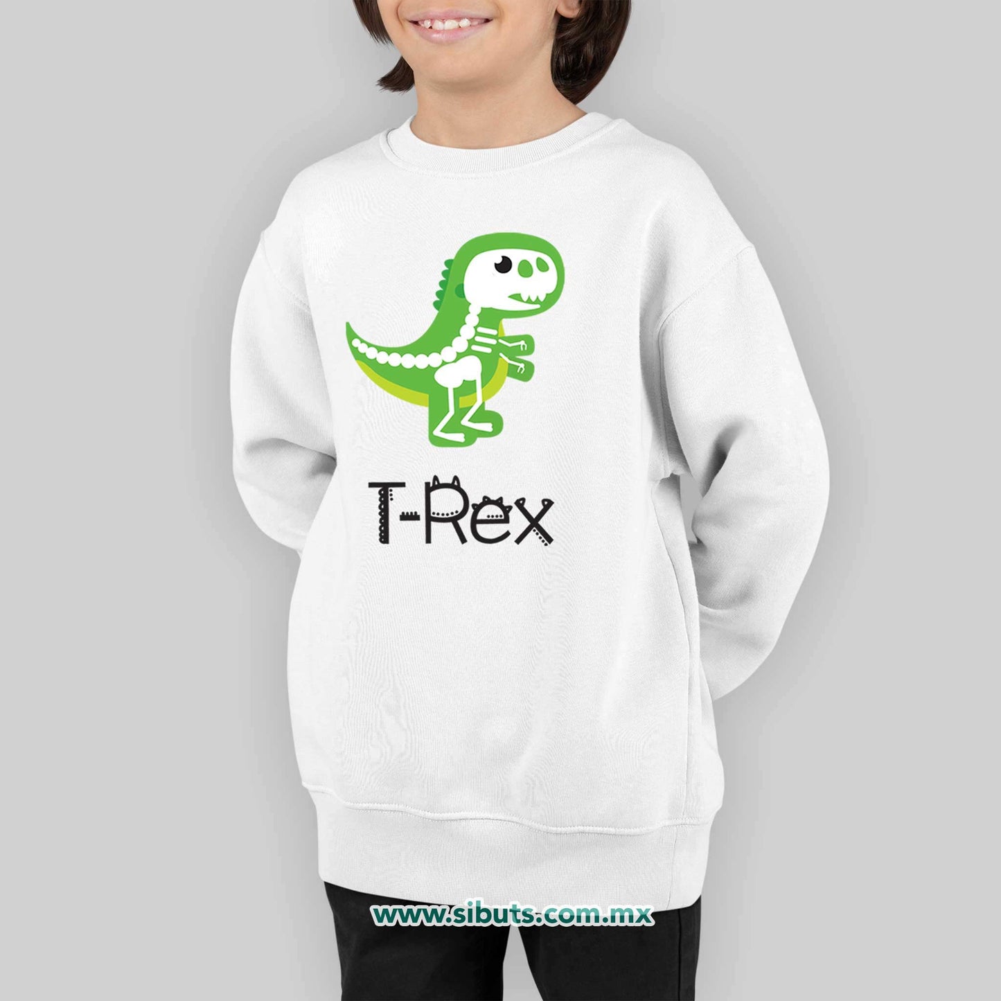 Sudadera Niño Cuello Redondo Dinosaurio T Rex