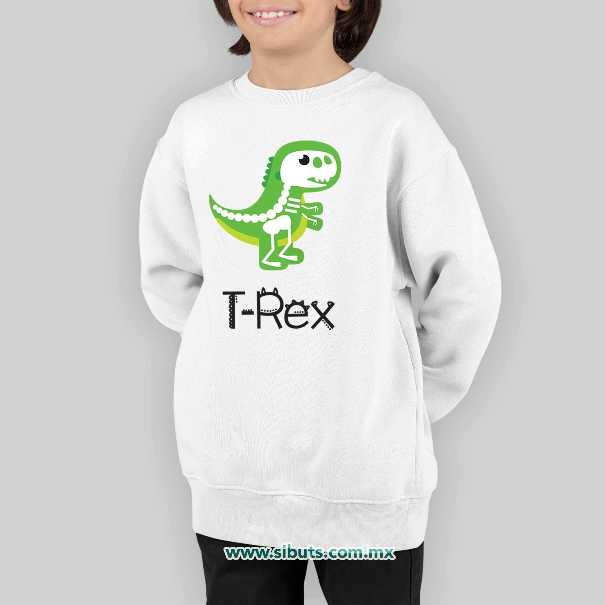 Sudadera Niño Cuello Redondo Dinosaurio T Rex