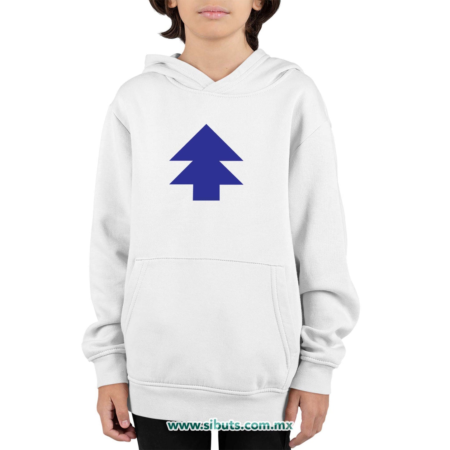 Sudadera Niño Gorro Gravity Falls Dipper Pino